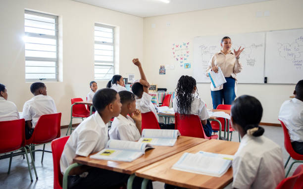 New Primary School Curriculum